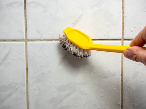 Best Home Mold Removal  in Stanton, KY